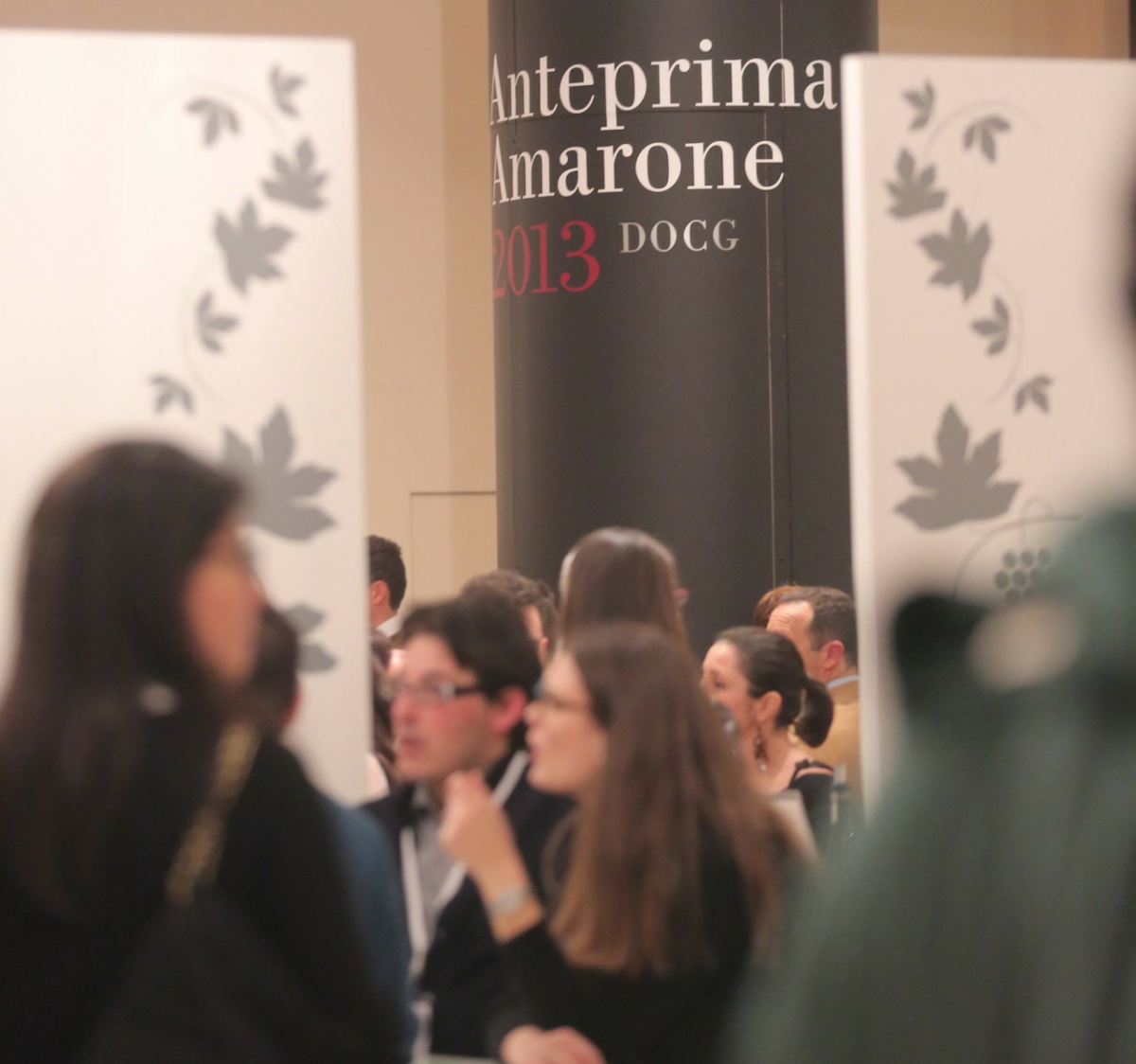 Amarone Opera Prima Edizione 2013 