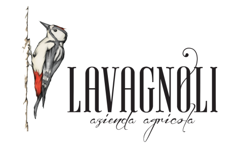 LAVAGNOLI 