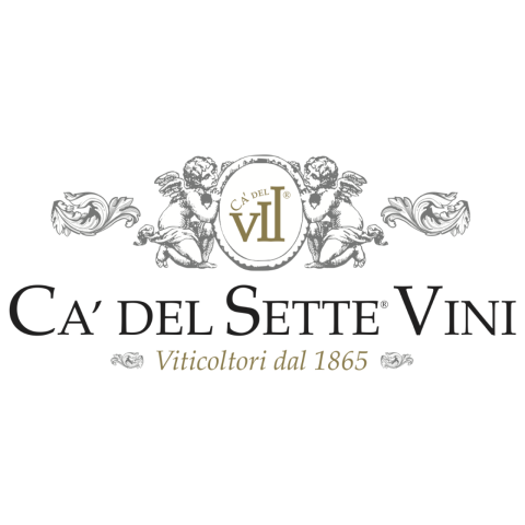CA' DEL SETTE VINI 