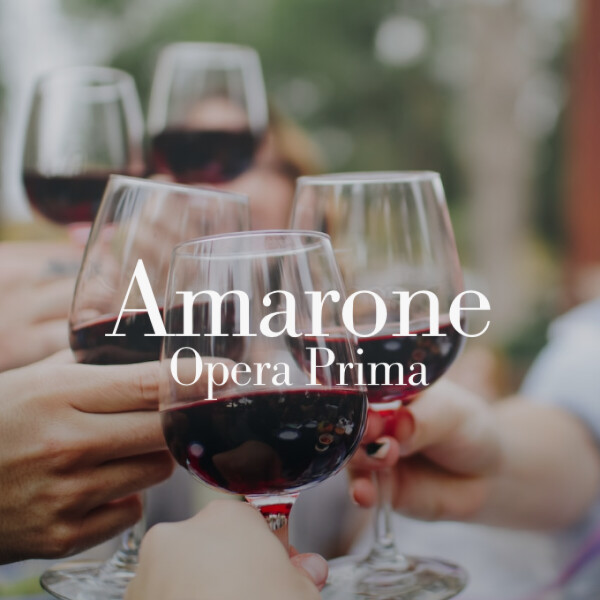 VINO (CONSORZIO VALPOLICELLA): LIFTING GIOVANE E SOSTENIBILE PER L’AMARONE