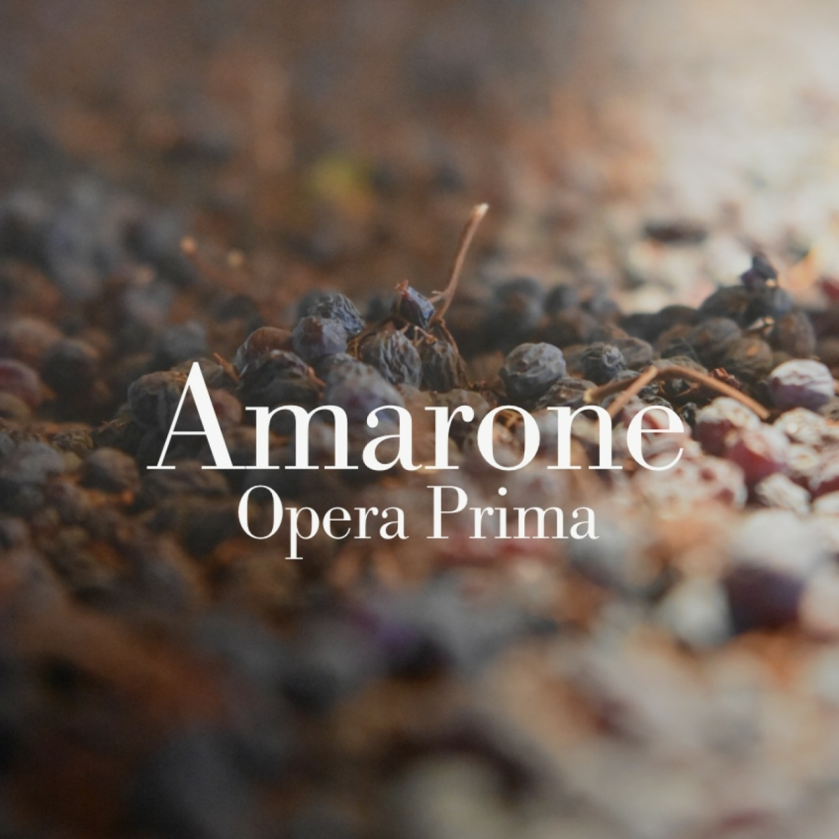 2023 AMARONE OPERA PRIMA 2019